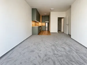 Pronájem bytu 2+kk, Praha - Vysočany, Gerstelova, 62 m2