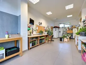 Prodej obchodního prostoru, Olomouc, tř. Míru, 140 m2