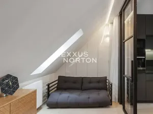 Pronájem bytu 2+kk, Praha - Žižkov, Řehořova, 115 m2