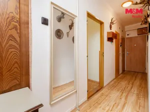 Prodej bytu 2+1, Heřmanova Huť - Vlkýš, Sídliště, 58 m2