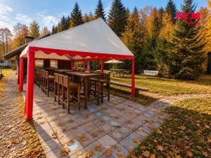 Prodej ubytování, Krucemburk, 21872 m2