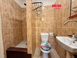 Pronájem bytu 2+1, Ostrava - Přívoz, Mariánskohorská, 56 m2