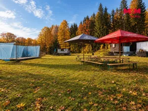 Prodej komerčního pozemku, Krucemburk - Staré Ransko, 21872 m2