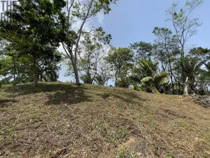Prodej pozemku, Coxen Hole, Roatán, Honduras, 1884 m2