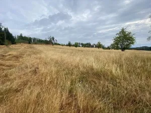 Prodej pozemku, Český Rudolec - Matějovec, 15087 m2