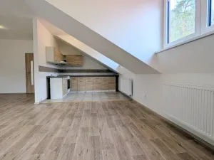 Pronájem bytu 4+kk, Peruc, U Koupaliště, 116 m2
