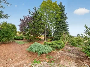 Prodej pozemku pro bydlení, Líský, 833 m2