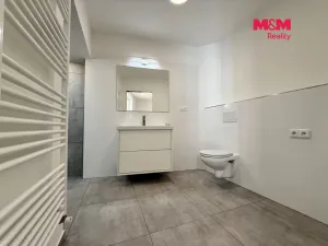 Pronájem bytu 1+kk, Ostrava, Zámecká, 49 m2