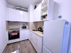 Pronájem bytu 1+kk, Plzeň, Pecháčkova, 42 m2