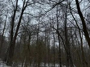 Prodej pozemku, Kralupy nad Vltavou, 719 m2