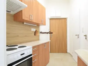 Pronájem bytu 1+kk, Praha - Nusle, Žateckých, 30 m2