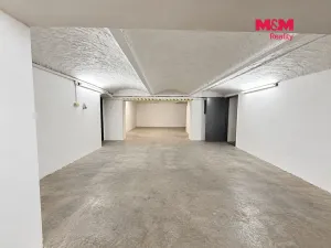 Pronájem garáže, Ostrava, Mariánskohorská, 160 m2