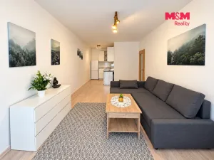 Prodej bytu 2+kk, Frýdek-Místek - Místek, Československé armády, 50 m2