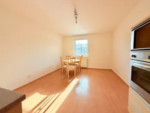 Pronájem bytu 2+kk, Praha - Vinohrady, Velehradská, 48 m2