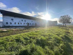 Prodej pozemku, Králíky - Horní Lipka, 11405 m2