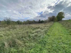 Prodej pozemku, Javorník - Horní Hoštice, 1651 m2