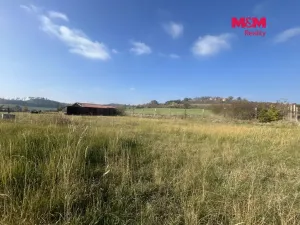 Prodej pozemku pro bydlení, Čížová - Bošovice, 1927 m2