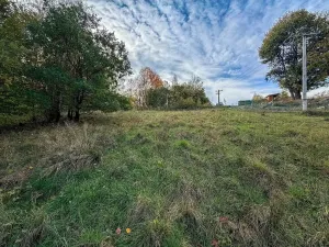 Prodej pozemku pro bydlení, Trstěnice, 1867 m2