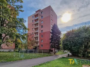 Prodej bytu 1+1, Havířov, Kosmonautů, 36 m2