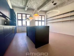 Pronájem bytu 3+kk, Brno, Peroutková, 77 m2