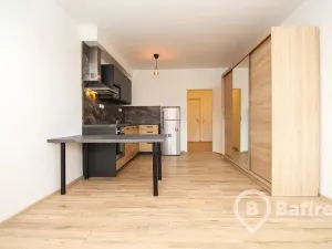 Pronájem bytu 1+kk, Olomouc, Edvarda Beneše, 33 m2