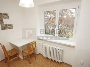 Pronájem bytu 1+1, Neratovice, 30 m2