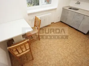 Pronájem bytu 1+1, Neratovice, 30 m2