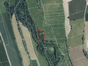 Prodej louky, Háje nad Jizerou, 3927 m2
