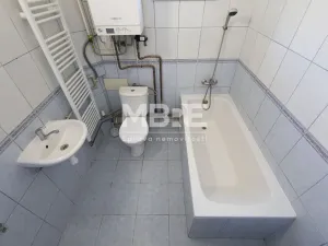 Pronájem bytu 1+1, Ostrava - Heřmanice, Parcelní, 42 m2