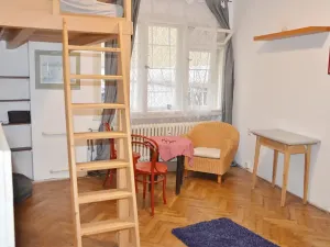 Pronájem bytu 1+kk, Praha - Nové Město, U půjčovny, 30 m2