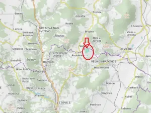 Prodej lesa, Velké Opatovice, 61114 m2