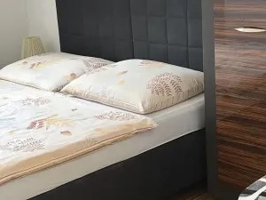 Prodej vícegeneračního domu, Hradec Králové, Všehrdova, 260 m2