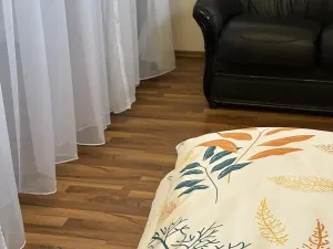 Prodej vícegeneračního domu, Hradec Králové, Všehrdova, 260 m2