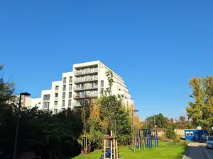 Pronájem bytu 1+kk, Praha - Karlín, Švarcova, 31 m2
