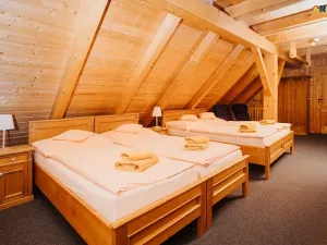 Prodej ubytování, Deštné v Orlických horách, 751 m2