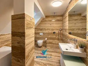 Prodej domu, Teplice, Laubeho náměstí, 425 m2