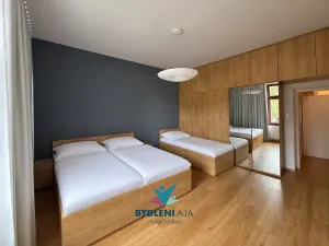 Prodej domu, Teplice, Laubeho náměstí, 425 m2
