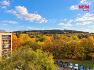 Prodej bytu 3+1, Příbram - Příbram VIII, Školní, 87 m2