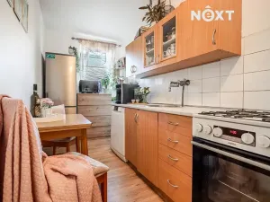 Prodej bytu 3+1, České Budějovice, L. M. Pařízka, 58 m2