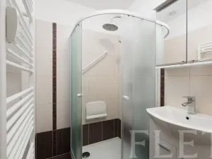 Prodej bytu 2+1, Praha - Žižkov, Loudova, 61 m2