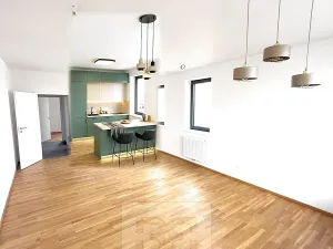 Pronájem bytu 2+kk, Kladno, Lesík, 53 m2