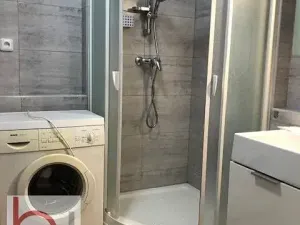 Pronájem bytu 1+kk, České Budějovice, Krčínova, 38 m2