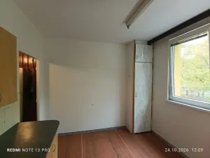 Prodej bytu 1+1, Frýdek-Místek, Anenská, 40 m2