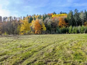 Prodej pozemku pro bydlení, Konstantinovy Lázně, 4111 m2