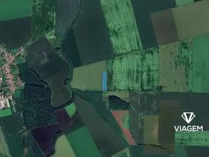 Prodej podílu pole, Věrovany, 2528 m2