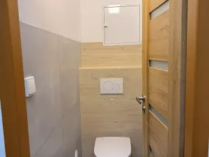 Pronájem bytu 2+1, Třinec, B. Němcové, 58 m2