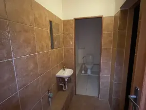Pronájem obchodního prostoru, Hluk, Hlavní, 200 m2