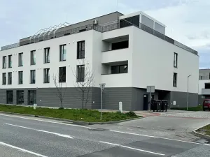 Pronájem bytu 2+kk, Olomouc, Věry Pánkové, 46 m2