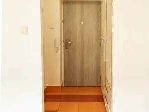 Pronájem bytu 1+1, Plzeň - Jižní Předměstí, Raisova, 30 m2