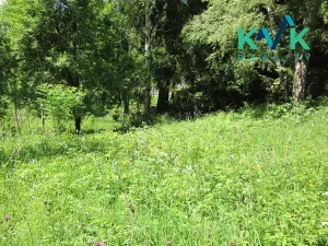 Prodej pozemku, Nejdek, 3489 m2